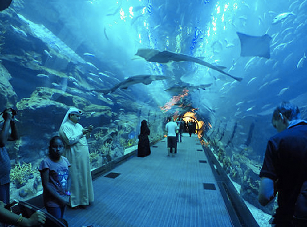 Dubai Aquarium and Underwater Zoo